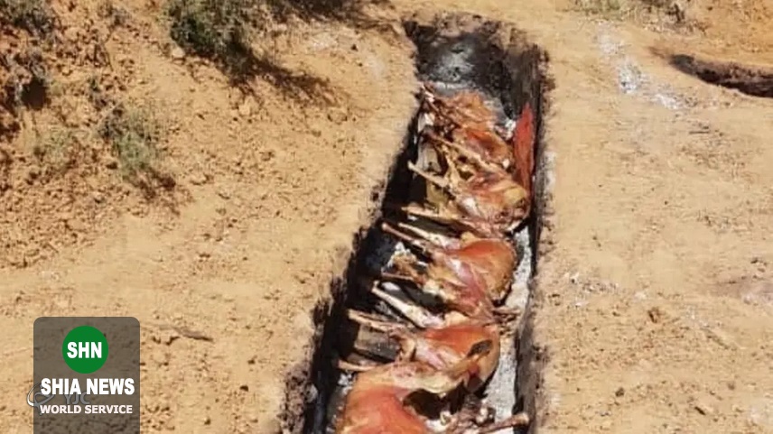 جشن مفصل القاعده پس از دریافت باج ۳۰ میلیون یورویی