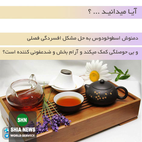 دانستنی های آموزنده و جالب از انواع گیاهان دارویی و خواص درمانی آنها دانستنی های آموزنده و جالب از انواع گیاهان دارویی و خواص درمانی آنها