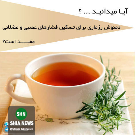 دانستنی های آموزنده و جالب از انواع گیاهان دارویی و خواص درمانی آنها دانستنی های آموزنده و جالب از انواع گیاهان دارویی و خواص درمانی آنها