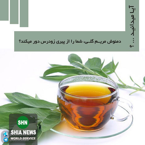 دانستنی های آموزنده و جالب از انواع گیاهان دارویی و خواص درمانی آنها دانستنی های آموزنده و جالب از انواع گیاهان دارویی و خواص درمانی آنها