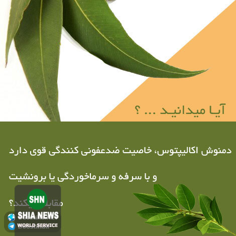 دانستنی های آموزنده و جالب از انواع گیاهان دارویی و خواص درمانی آنها دانستنی های آموزنده و جالب از انواع گیاهان دارویی و خواص درمانی آنها