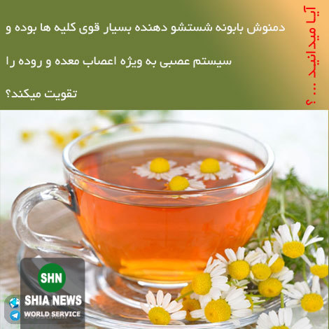 دانستنی های آموزنده و جالب از انواع گیاهان دارویی و خواص درمانی آنها دانستنی های آموزنده و جالب از انواع گیاهان دارویی و خواص درمانی آنها