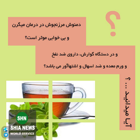 دانستنی های آموزنده و جالب از انواع گیاهان دارویی و خواص درمانی آنها دانستنی های آموزنده و جالب از انواع گیاهان دارویی و خواص درمانی آنها