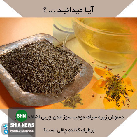 دانستنی های آموزنده و جالب از انواع گیاهان دارویی و خواص درمانی آنها دانستنی های آموزنده و جالب از انواع گیاهان دارویی و خواص درمانی آنها