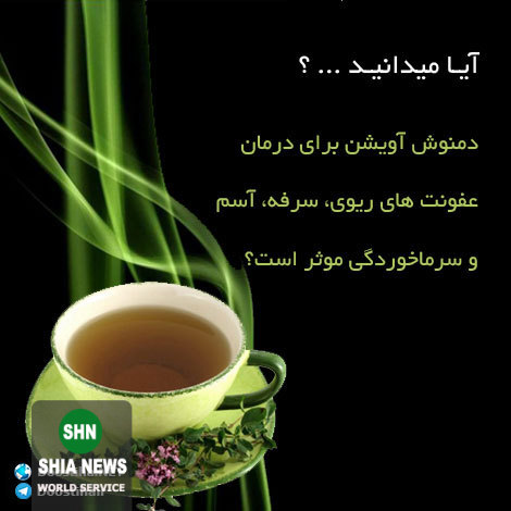 دانستنی های آموزنده و جالب از انواع گیاهان دارویی و خواص درمانی آنها دانستنی های آموزنده و جالب از انواع گیاهان دارویی و خواص درمانی آنها