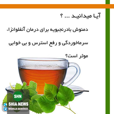 دانستنی های آموزنده و جالب از انواع گیاهان دارویی و خواص درمانی آنها دانستنی های آموزنده و جالب از انواع گیاهان دارویی و خواص درمانی آنها