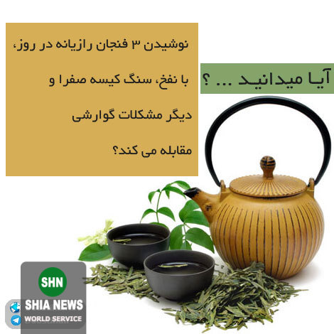 دانستنی های آموزنده و جالب از انواع گیاهان دارویی و خواص درمانی آنها دانستنی های آموزنده و جالب از انواع گیاهان دارویی و خواص درمانی آنها