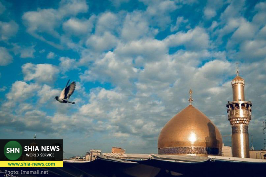 کبوتران گرد حرم مطهر امام علی(ع) کبوتران گرد حرم مطهر امام علی(ع)