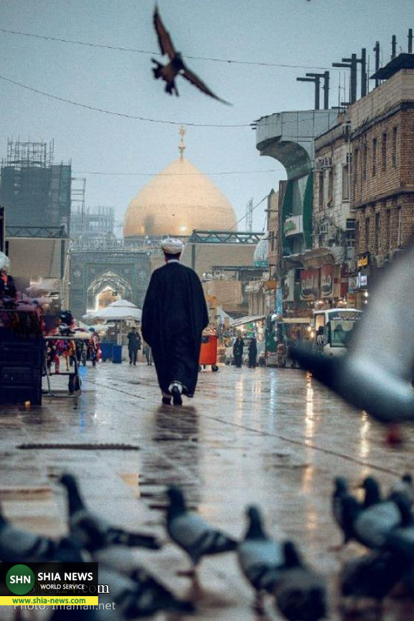 کبوتران گرد حرم مطهر امام علی(ع) کبوتران گرد حرم مطهر امام علی(ع)