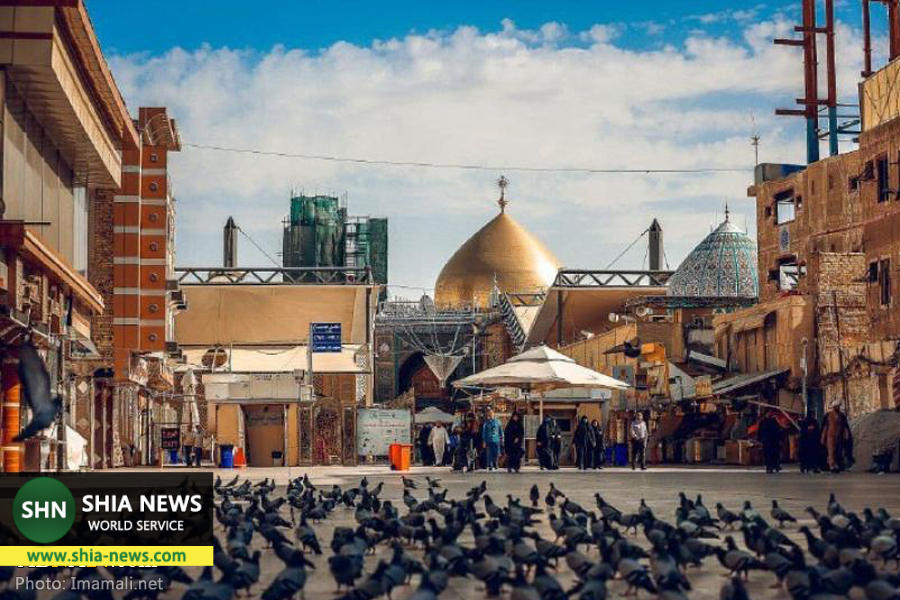 کبوتران گرد حرم مطهر امام علی(ع) کبوتران گرد حرم مطهر امام علی(ع)