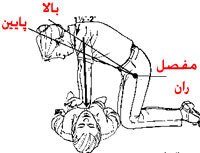 آموزش احیاء قلبی ریوی به روش اورژانسی(CPR)
