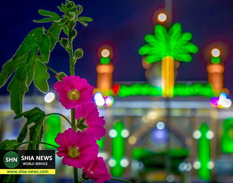 میلیون ها زائر شب نیمه شعبان را در کربلا گرامی داشتند میلیون ها زائر شب نیمه شعبان را در کربلا گرامی داشتند