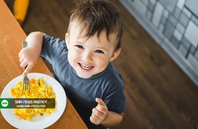 فواید و مضرات مصرف تخم مرغ و تاثیر آن بر رشد کودکان خردسال