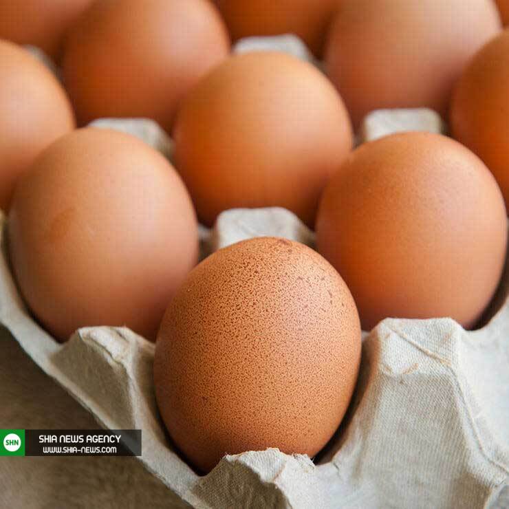 برای رفع گرسنگی در رژیم چه بخوریم؟ برای رفع گرسنگی در رژیم چه بخوریم؟