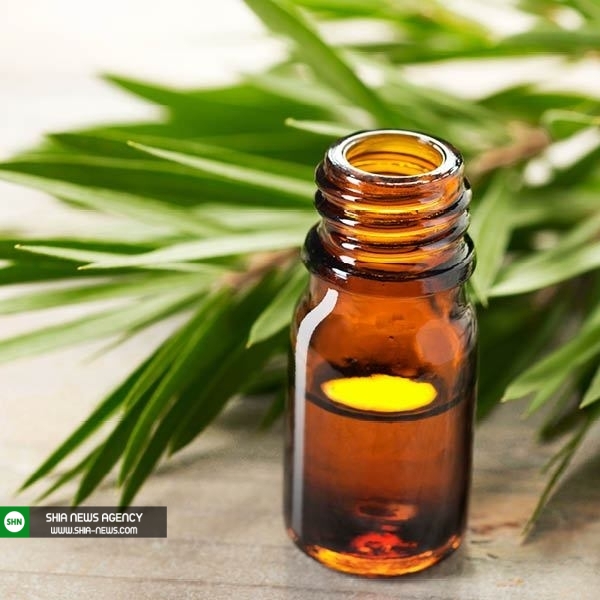 روش های درمان فوری تبخال در خانه