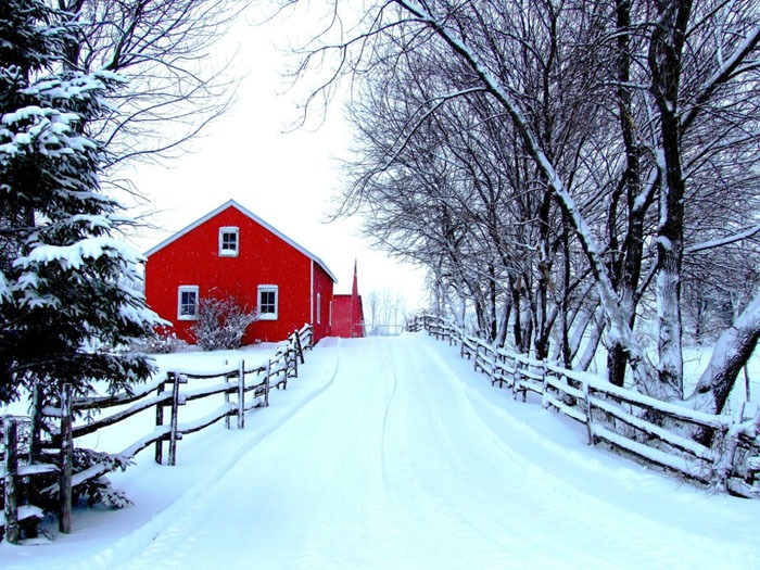 با این ترفندها زیباترین عکس‌های زمستانی بگیرید
