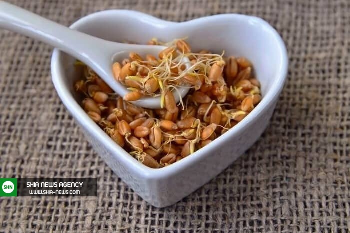 4 معجون گیاهی برای افزایش قد کودک 4 معجون گیاهی برای افزایش قد کودک