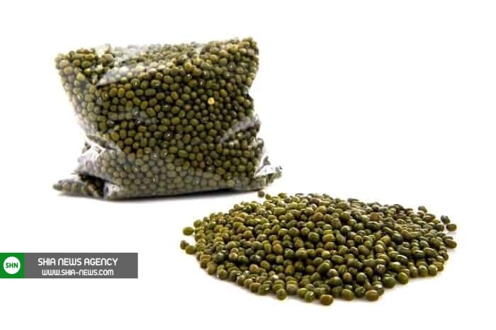 روش و زمان کاشت سبزه ماش برای هفت سین روش و زمان کاشت سبزه ماش برای هفت سین
