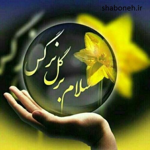 عکس پروفایل نیمه شعبان + متن تبریک