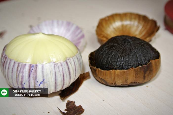 چه بسیار خواص دارد این سیر سیاه چه بسیار خواص دارد این سیر سیاه