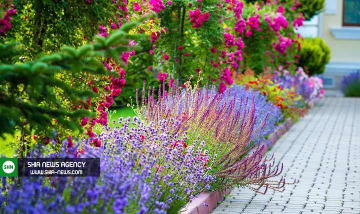 آماده سازی باغچه برای بهار و حیاط تکانی