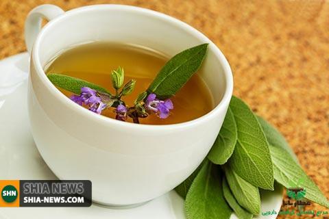 کاهش آثار سوء آلودگی هوا با استفاده از دمنوش های گیاهی کاهش آثار سوء آلودگی هوا با استفاده از دمنوش های گیاهی
