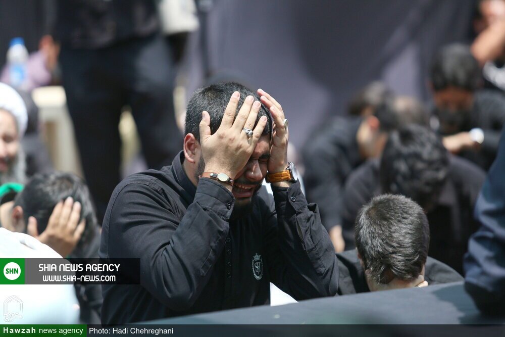تصاویر/ مجلس عزای شهادت امام جعفر صادق علیهالسلام با حضور آیت الله وحید خراسانی تصاویر/ مجلس عزای شهادت امام جعفر صادق علیهالسلام با حضور آیت الله وحید خراسانی