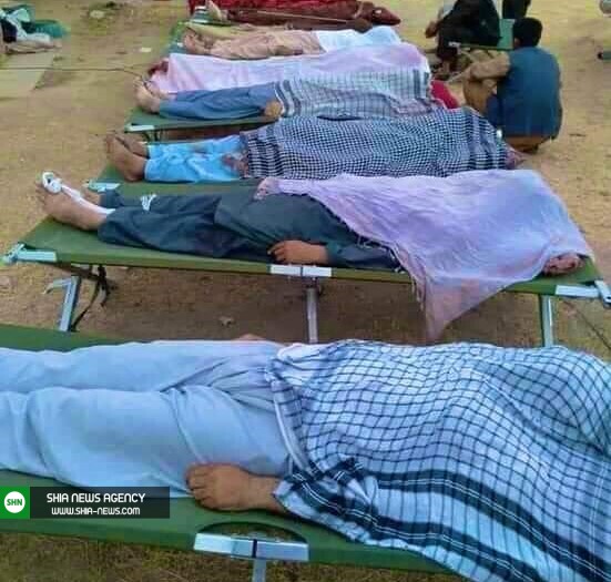 نسل&zwnj;کشی شیعیان هزاره&zwnj; اینبار در موسسه مین&zwnj;روبی هلوتراست