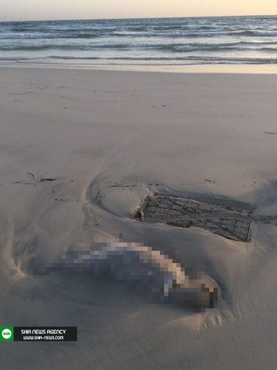 تصاویر هولناکی از اجساد کودکان در سواحل لیبی