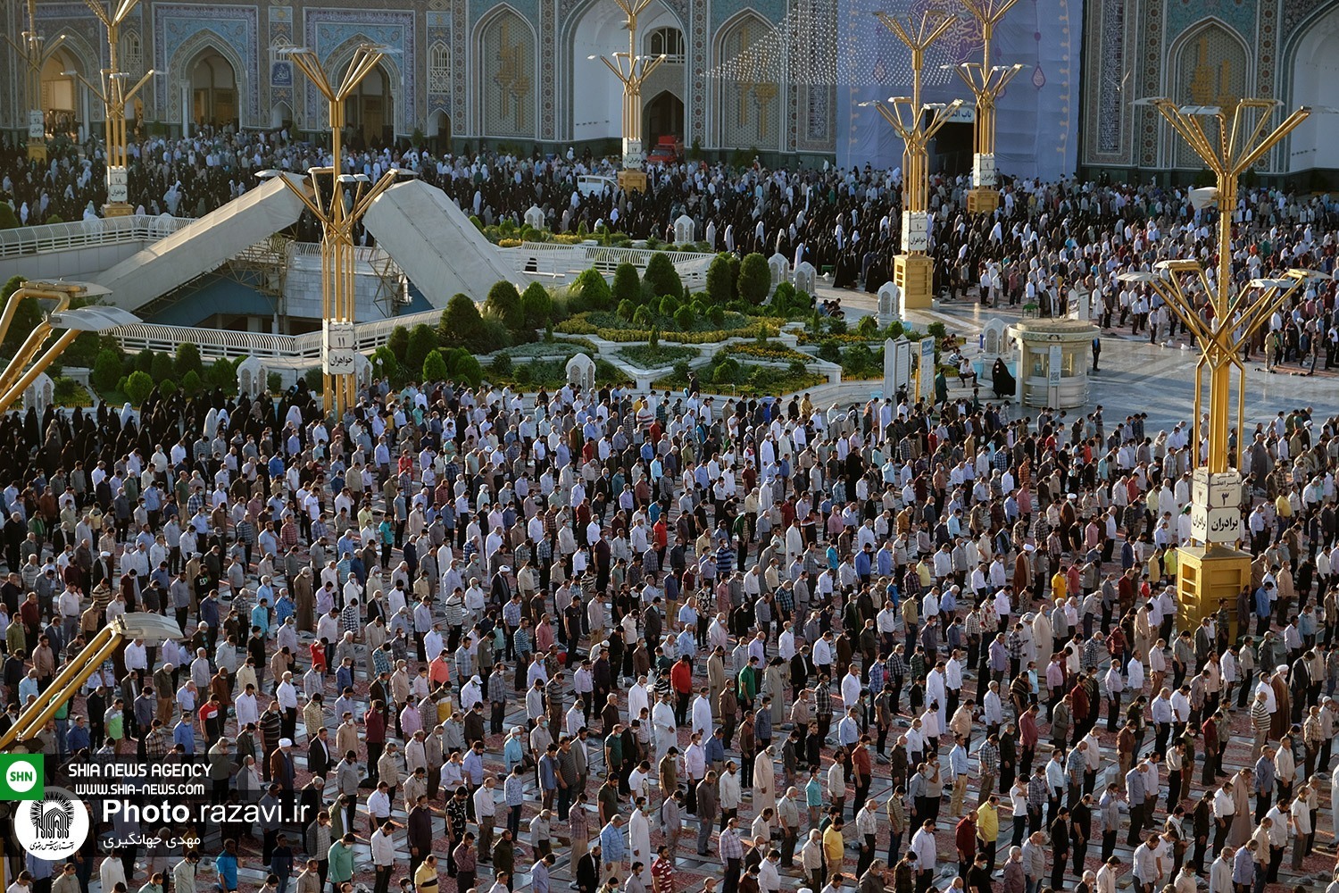تصاویر/ اقامه نماز عید قربان در حرم مطهر امام رضا (ع)