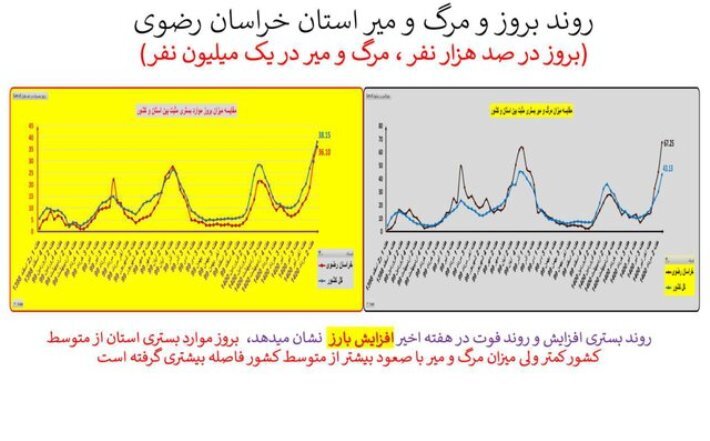 مرگومیر کرونا در خراسانرضوی بالاتر از میانگین کشوری مرگومیر کرونا در خراسانرضوی بالاتر از میانگین کشوری