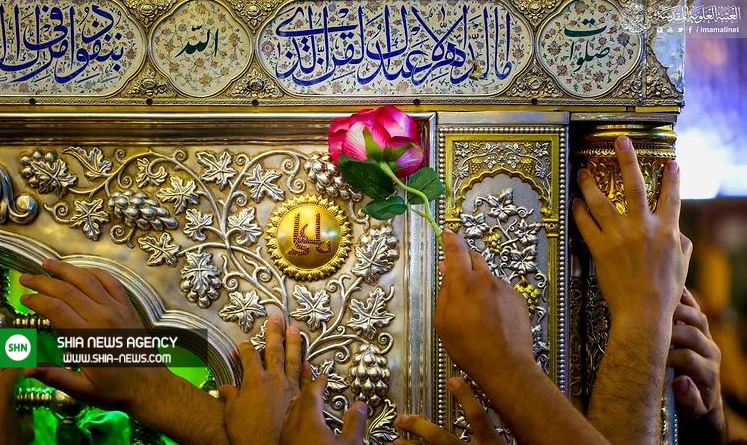 کاروان شادی جوانان عراقی در نجف اشرف +عکس و فیلم