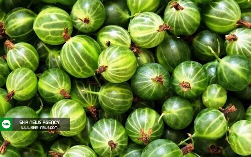موهای خود را به طور طبیعی مشکی نگاه داریم موهای خود را به طور طبیعی مشکی نگاه داریم