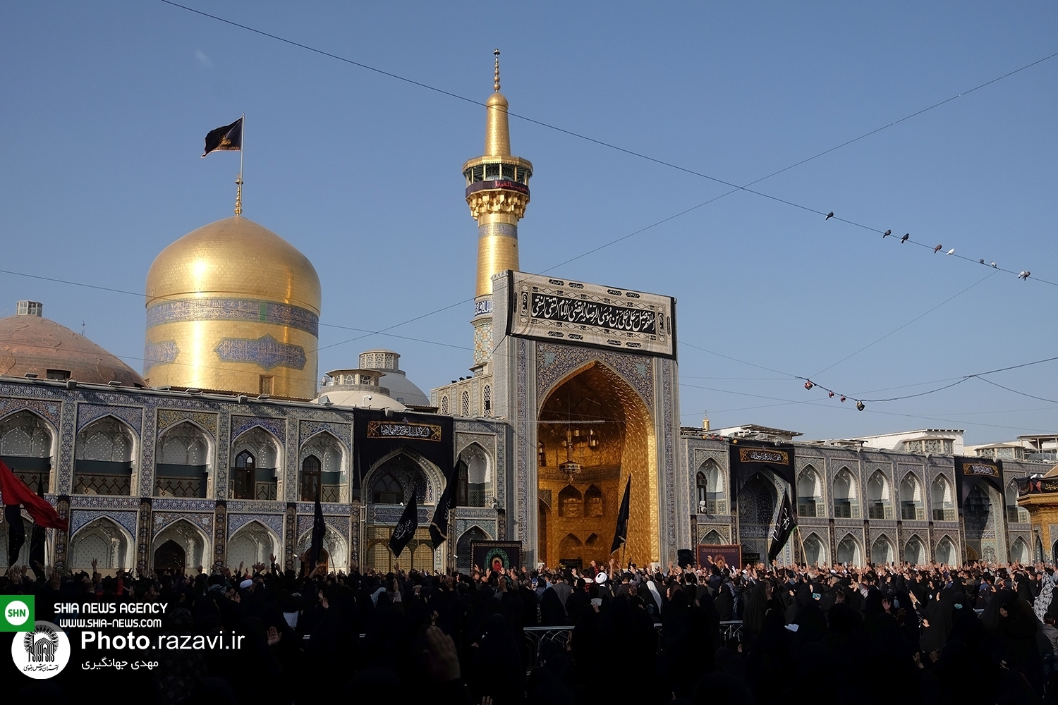 تصاویر/ عزاداری خادمان حرم امام رضا (ع) در روز شهادت امام رئوف
