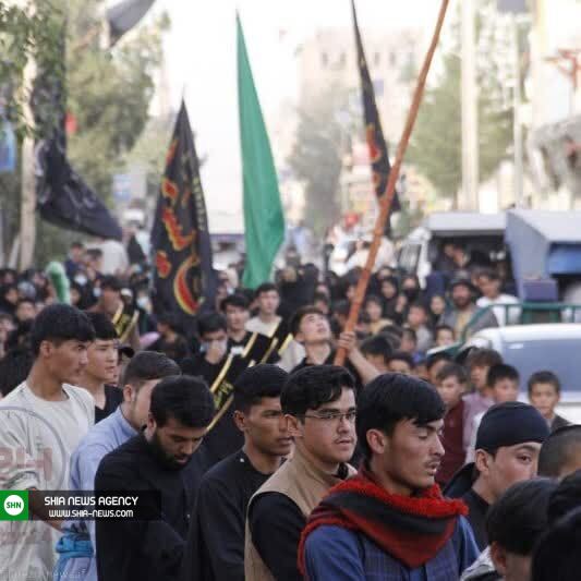 برگزاری مراسم اربعین در هرات و دایکندی + تصاویر