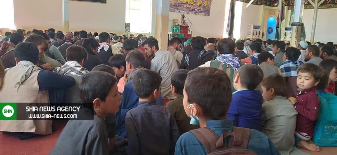 برگزاری مراسم اربعین در هرات و دایکندی + تصاویر