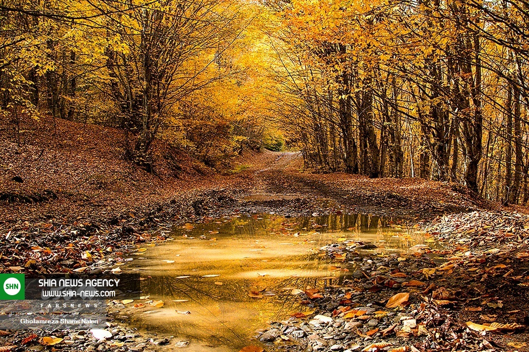 تصاویری از پاييز فصل زیبای طبیعت