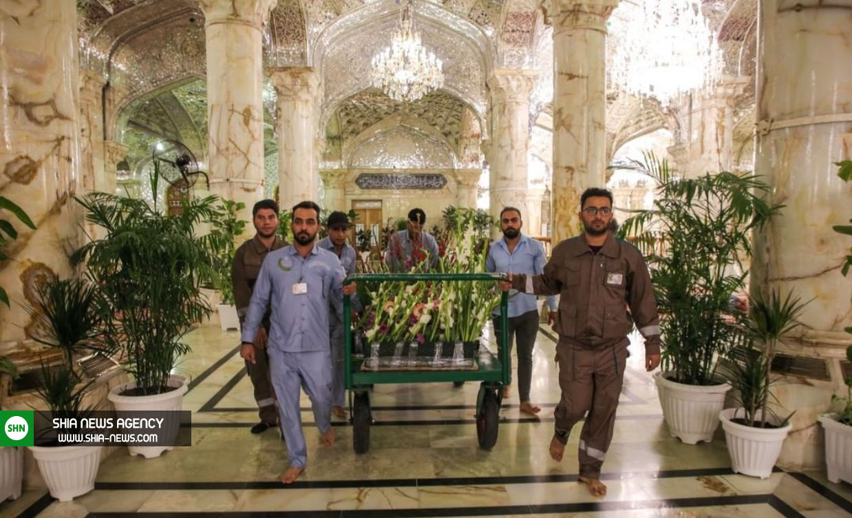 تصاویر/ حرم امیرالمؤمنین (ع) با 1600 شاخه گل طبیعی تزئین شد تصاویر/ حرم امیرالمؤمنین (ع) با 1600 شاخه گل طبیعی تزئین شد