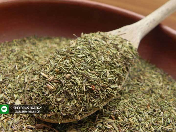 با فواید درمانی گیاه دارویی آویشن آشنا شوید