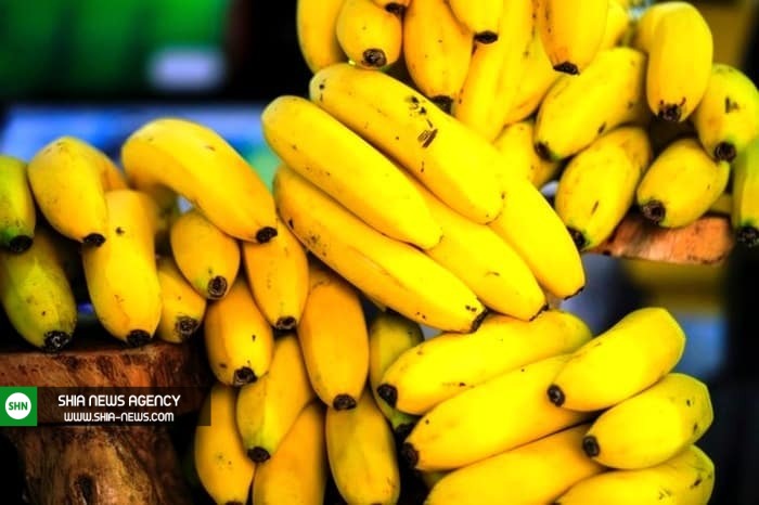 خواص موز برای تک تک اعضای بدن خواص موز برای تک تک اعضای بدن