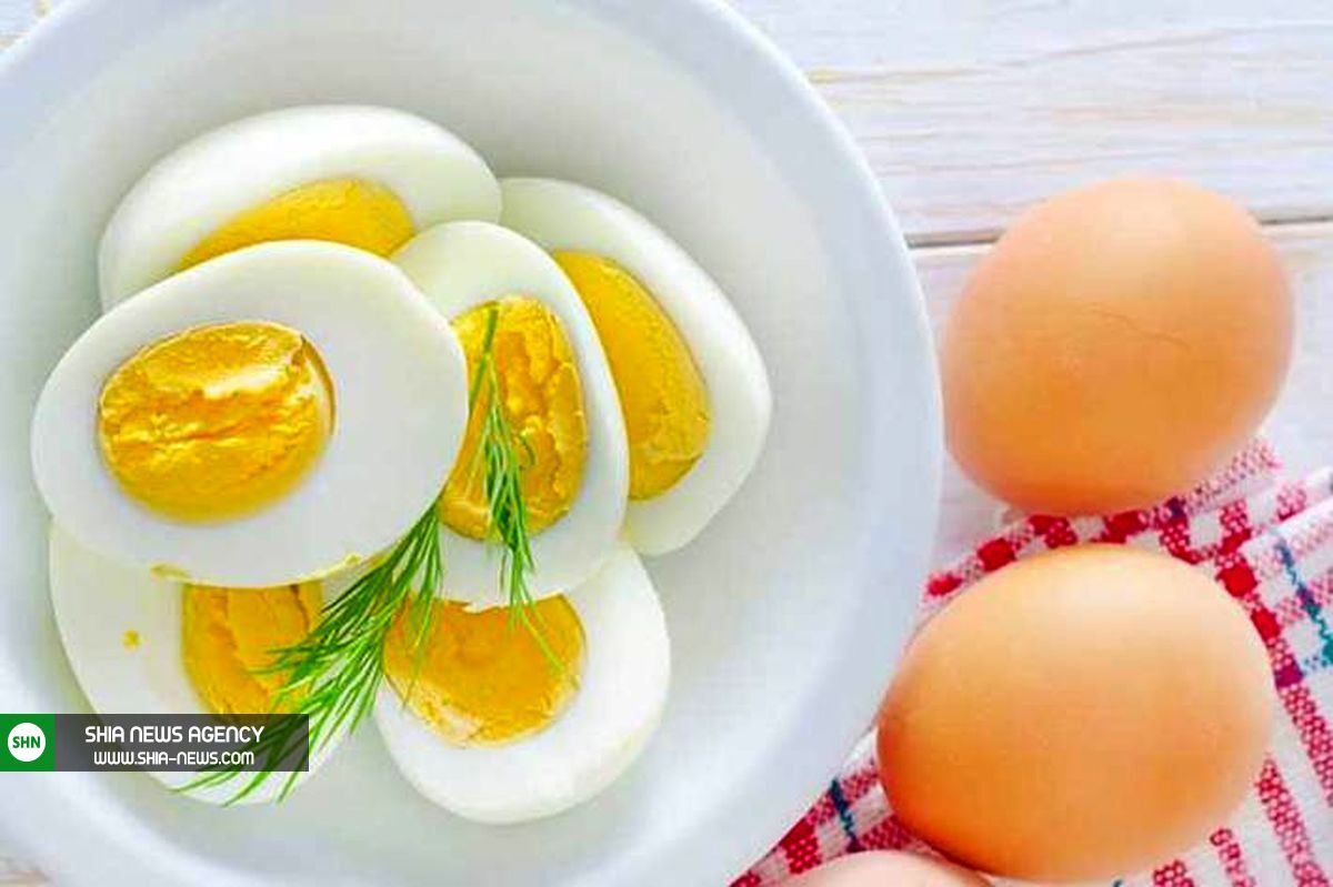 آیا رژیم تخم مرغ باعث لاغری میشود؟ آیا رژیم تخم مرغ باعث لاغری میشود؟