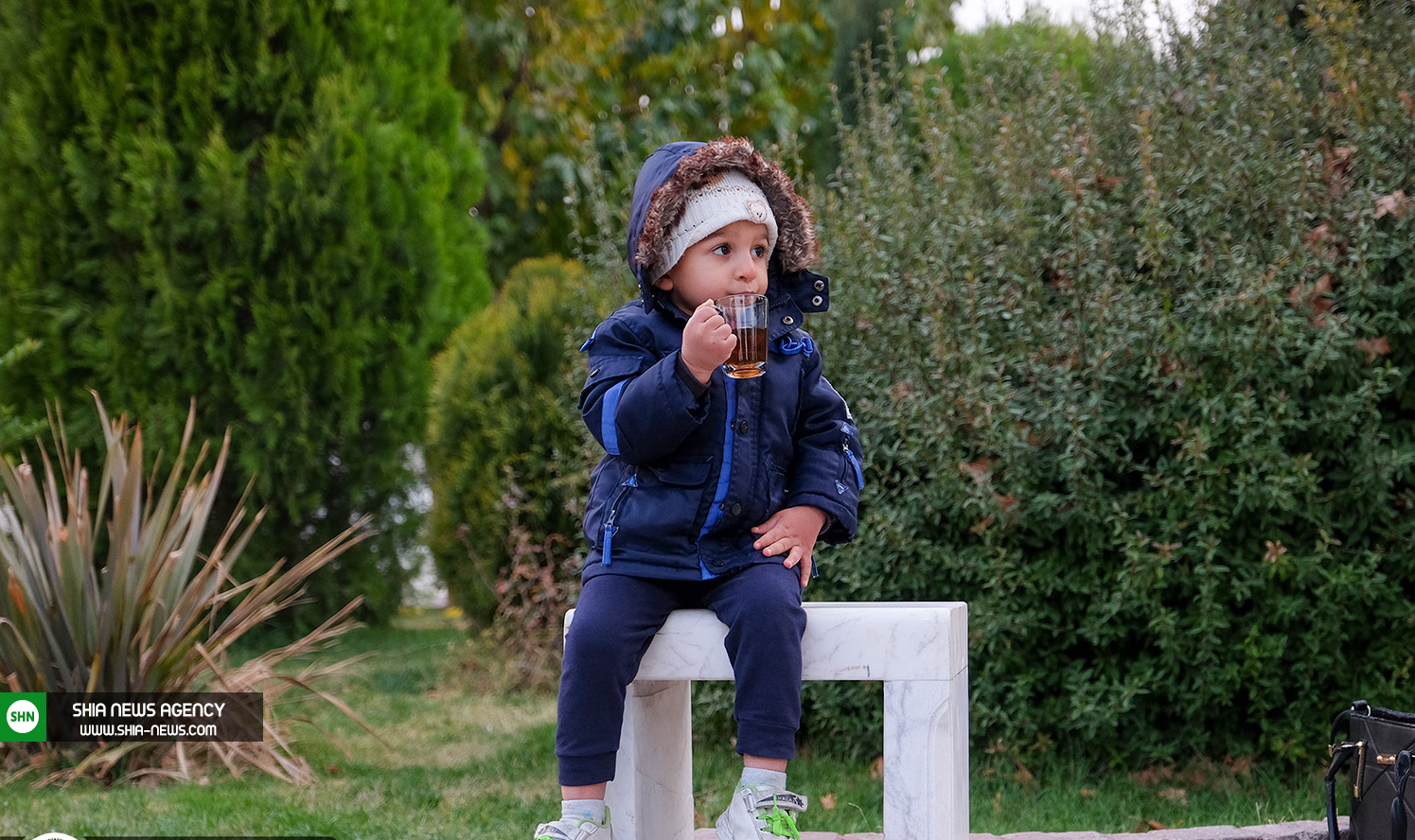 افتتاح سومین چایخانه حضرت رضا (ع) +تصاویر