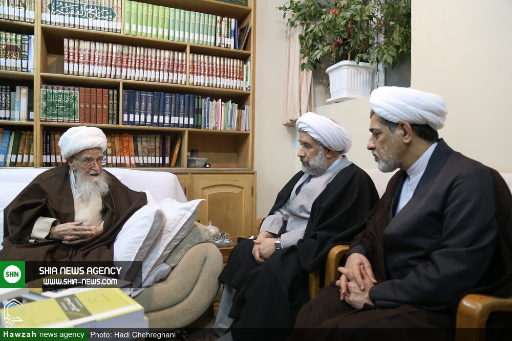 تصاویر / دیدار اعضای همایش علمی بین المللی حضرت حمزه (ع) با آیت الله صافی گلپایگانی تصاویر / دیدار اعضای همایش علمی بین المللی حضرت حمزه (ع) با آیت الله صافی گلپایگانی