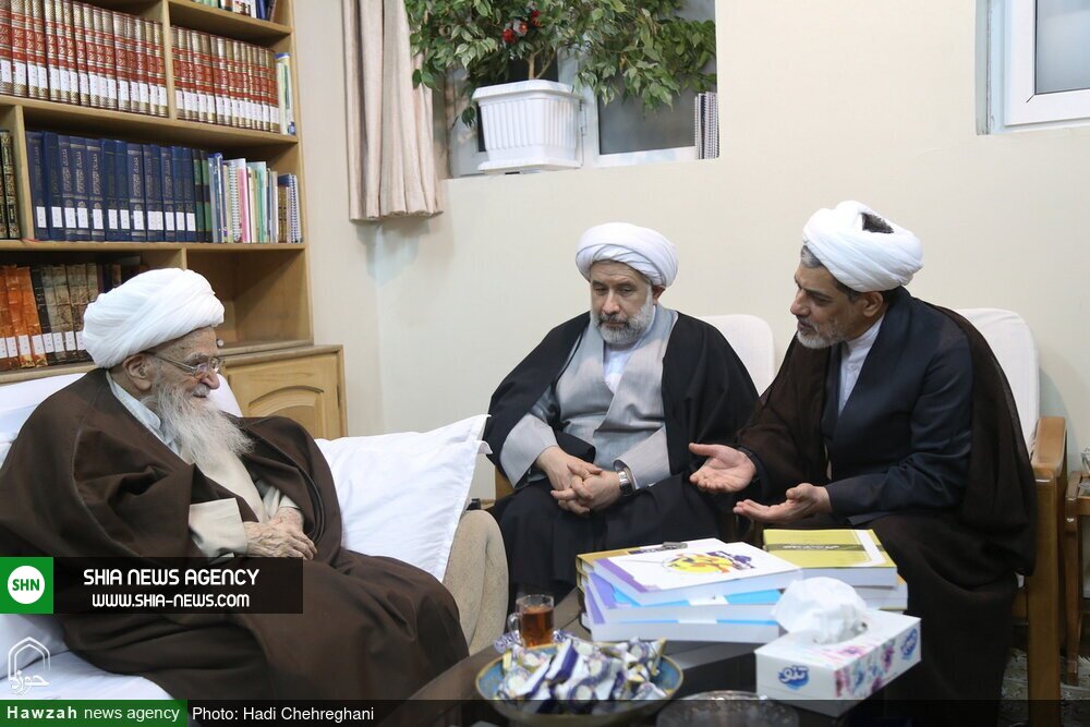 تصاویر / دیدار اعضای همایش علمی بین المللی حضرت حمزه (ع) با آیت الله صافی گلپایگانی تصاویر / دیدار اعضای همایش علمی بین المللی حضرت حمزه (ع) با آیت الله صافی گلپایگانی