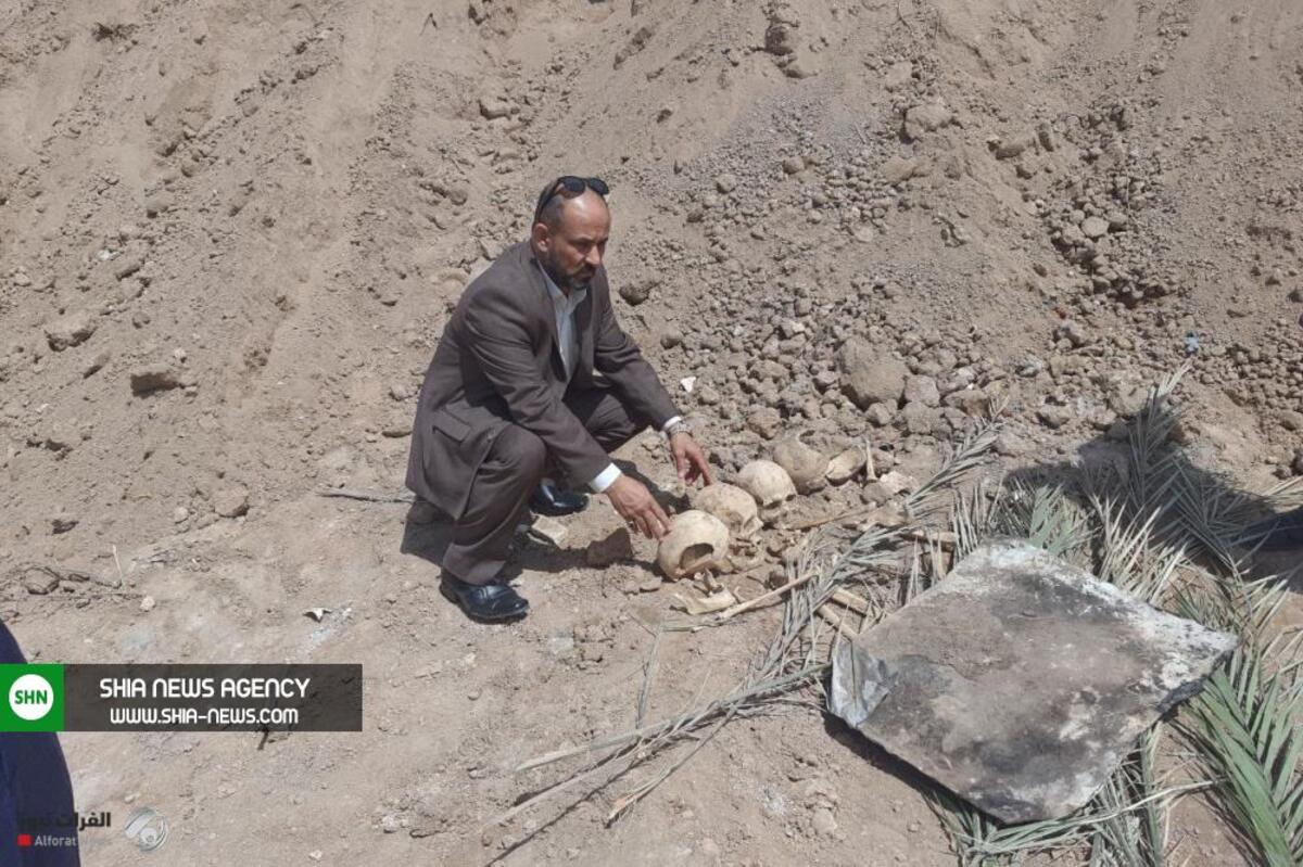 کشف یک گور دسته جمعی در نجف اشرف+ تصویر کشف یک گور دسته جمعی در نجف اشرف+ تصویر
