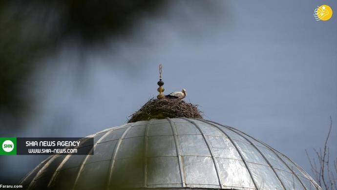 گنبد یک مسجد لانه لک&zwnj;لک&zwnj;ها