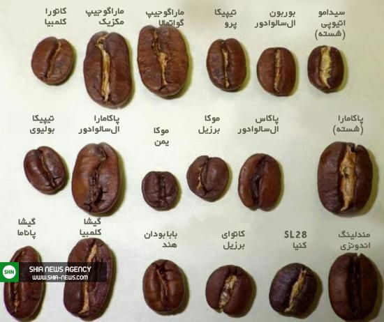 انواع روش های دم کردن قهوه + فواید نگهداری قهوه در خانه