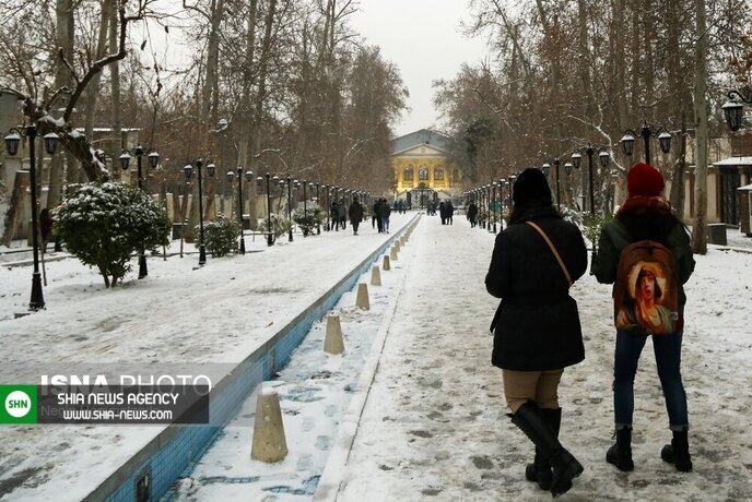 تصاویر/ تهران زیر برف و باران تصاویر/ تهران زیر برف و باران