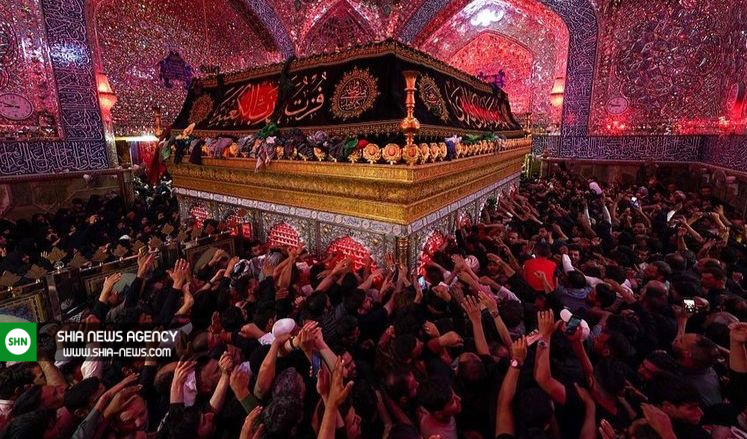 تصاویر/ شب شهادت امام علی (ع) در حرمهای مقدس جهان تصاویر/ شب شهادت امام علی (ع) در حرمهای مقدس جهان