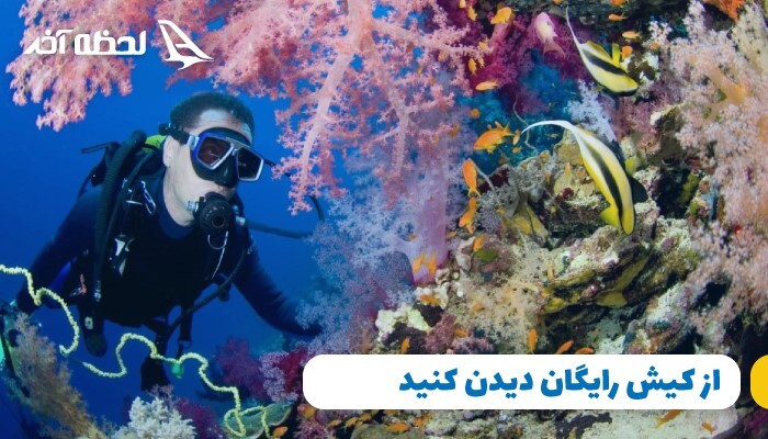 خرید ارزان ترین تور کیش در لحظه آخر خرید ارزان ترین تور کیش در لحظه آخر